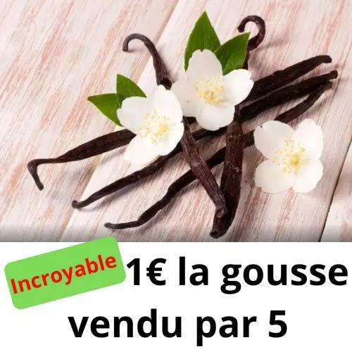 Vanille Bourbon de Madagascar 5 gousses