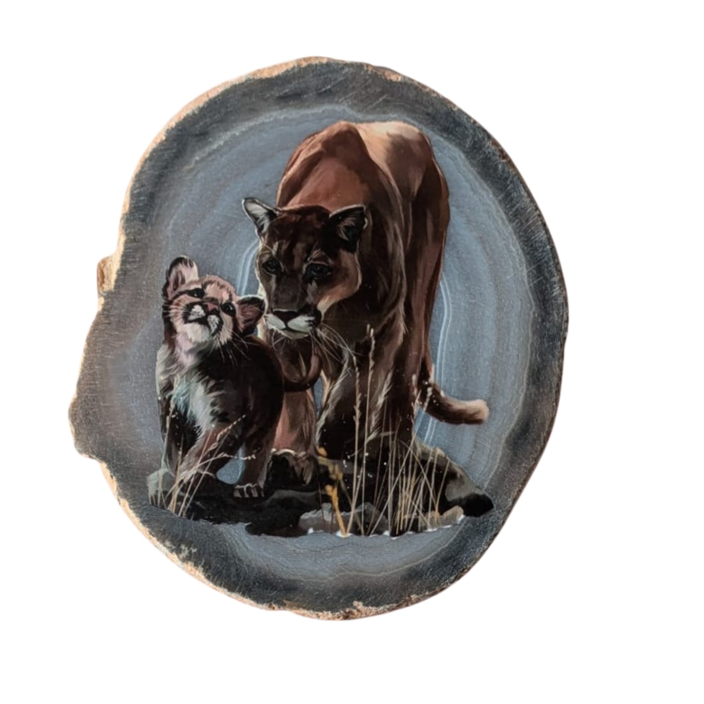 Tranche d'agate lionne