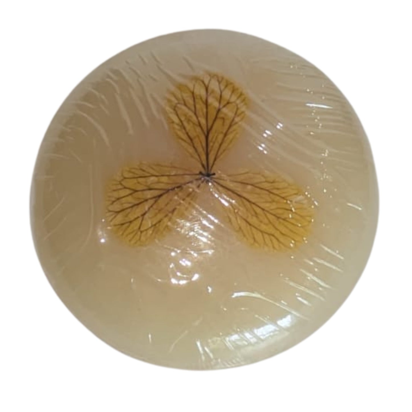 Savon Aloe vera miel