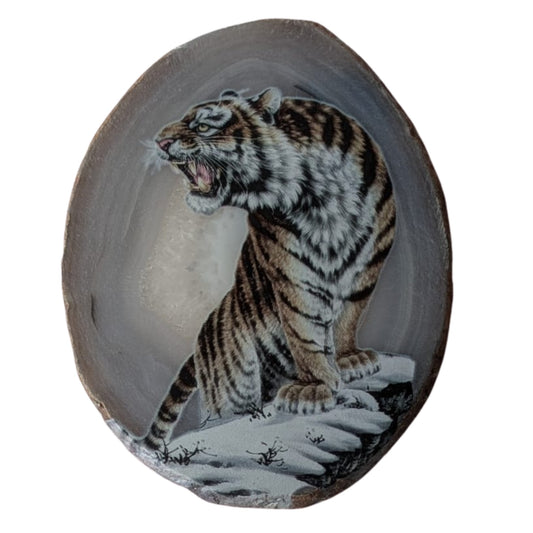 Tranche d'agate tigre