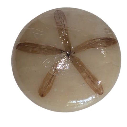 Savon au miel de letchis