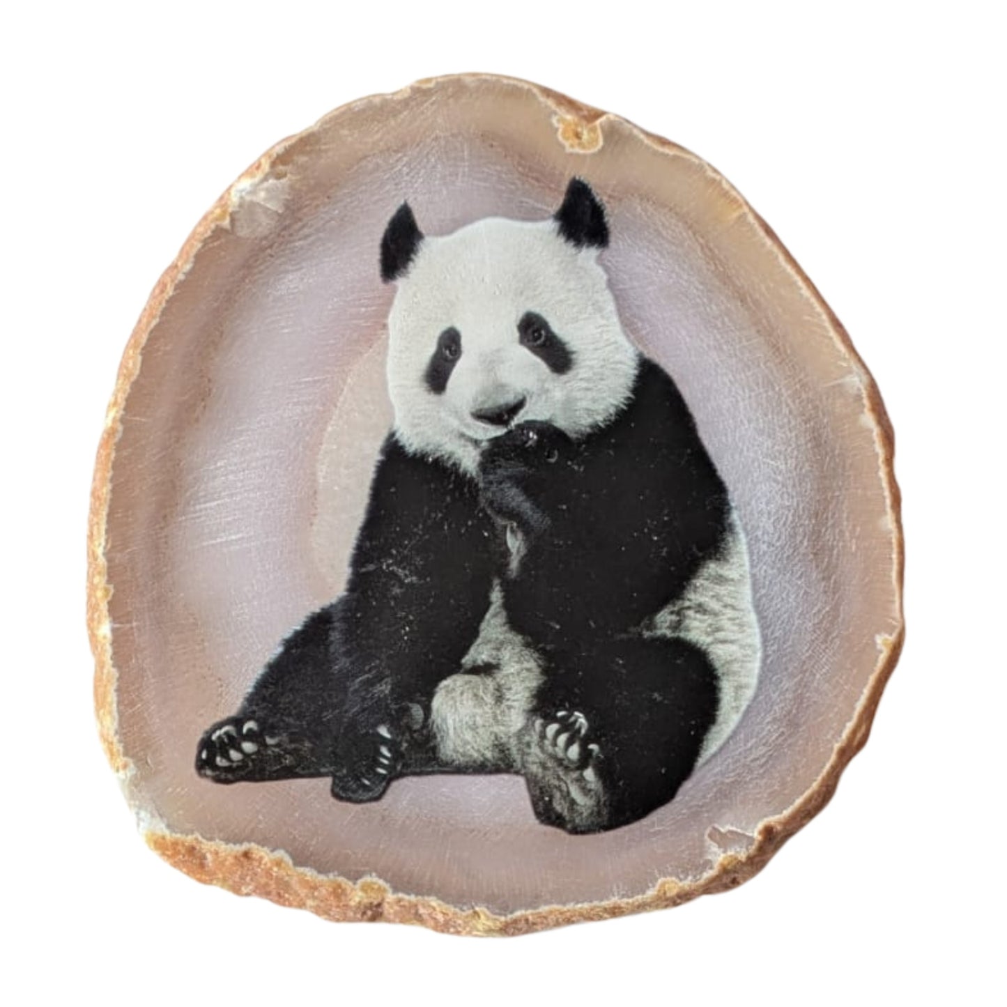 Tranche d'agate panda