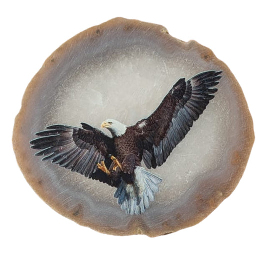 Tranche d'agate aigle vol