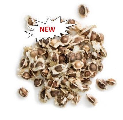 GRAINES DE MORINGA – 30 gr – Saveurs & Senteurs Goût végétal & doux | Graines naturelles | Idéales infusions, cuisine saine & germination